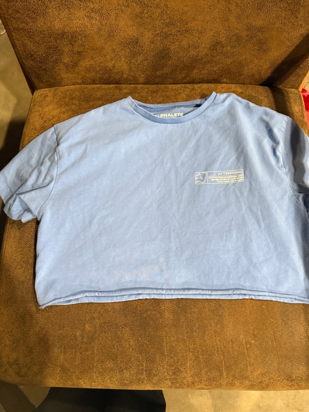 Alphalete Sky Blue Short Sleeve Graphic Crop Tee